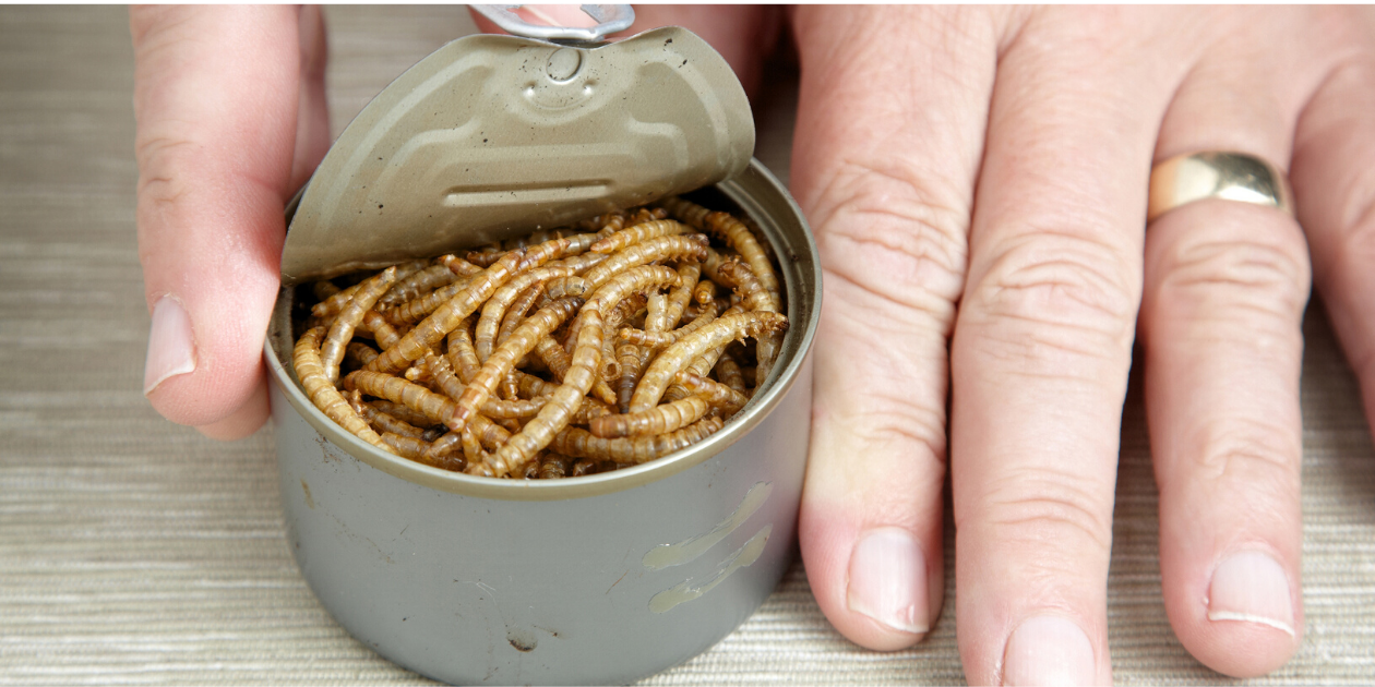 Does Home Office Ergonomics Training Open a Can of Worms?